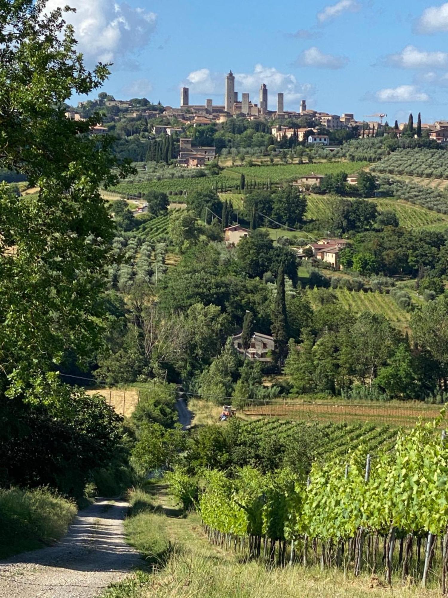 Podere Casanuova San Gimignano Exterior foto