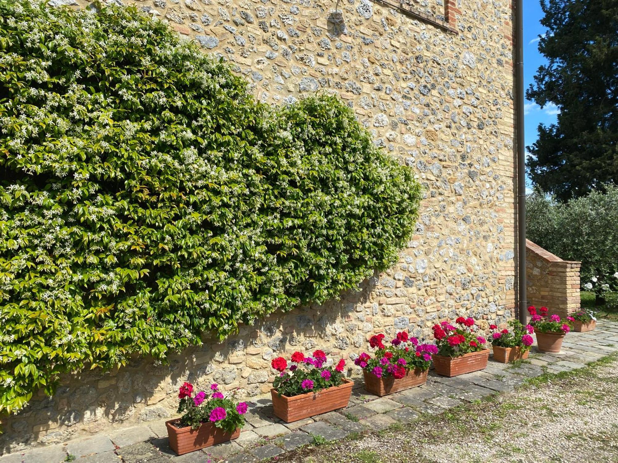 Podere Casanuova San Gimignano Exterior foto